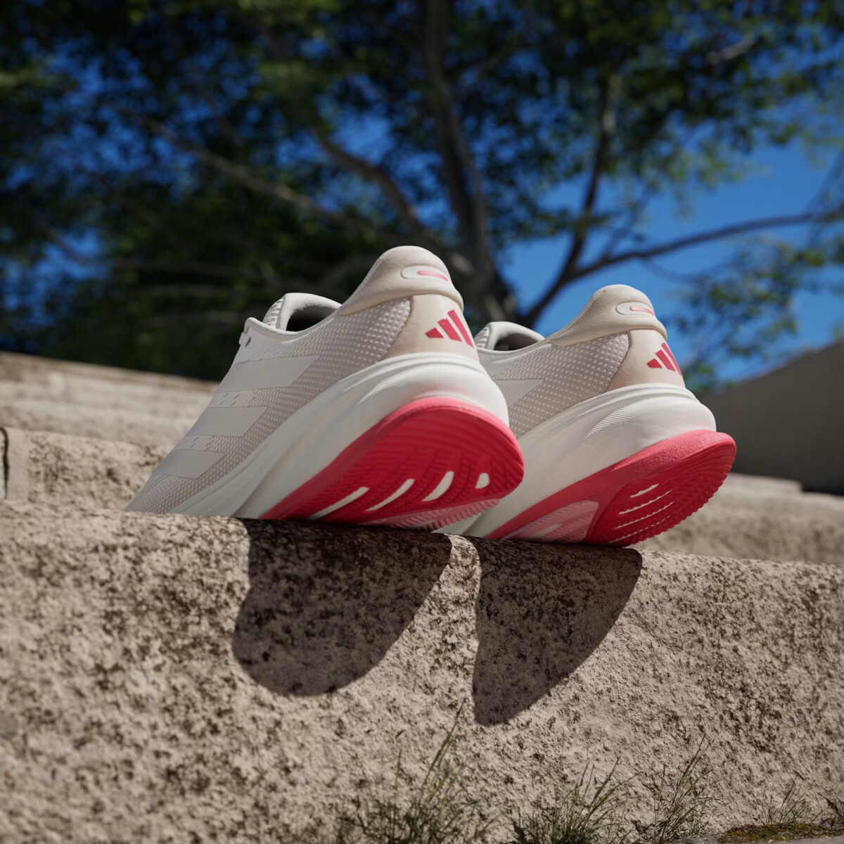 ADIDAS SUPERNOVA RISE 2 . - Imagen 4
